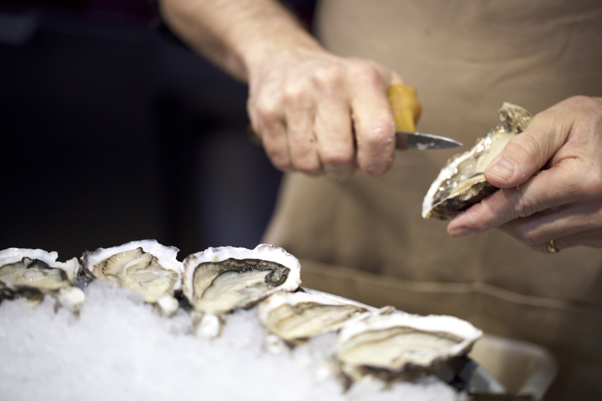 Déguster des huîtres dans le Golfe du Morbihan